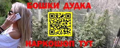 PSILOCYBIN Нальчик